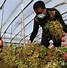 外围菠菜客户端外围足球软件app下载-第2张图片-太平洋在线下载