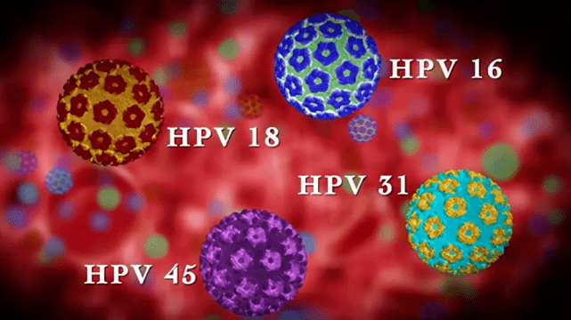 京医通苹果版下载:男性也会感染HPV吗？男性HPV感染后会患什么病？